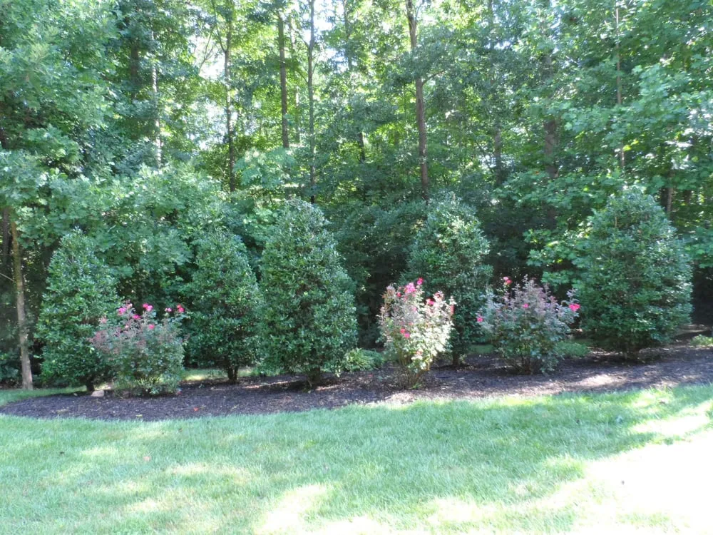 Local outdoor landscaping in Greenville, SC by A-1T Perrin Lawn Services