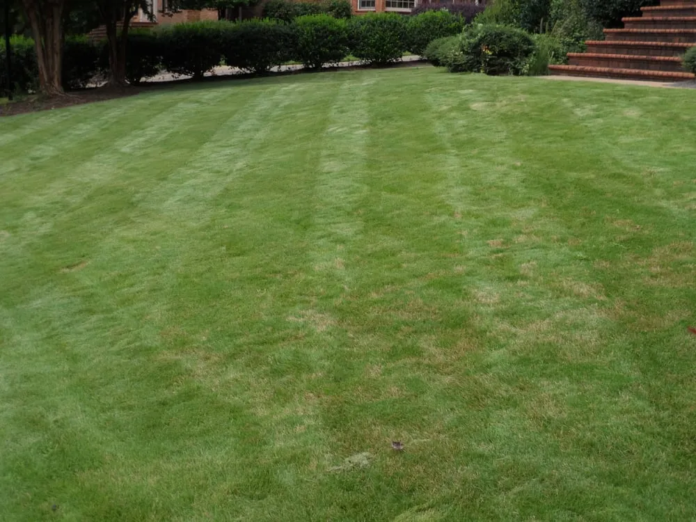 Expert lawn mowing service near you across Greenville, SC - A-1T Perrin Lawn Services