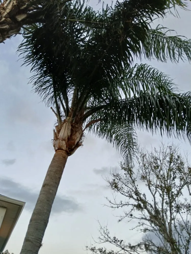 Local garden landscaping in Eustis, FL - A 2 B Home Solutions