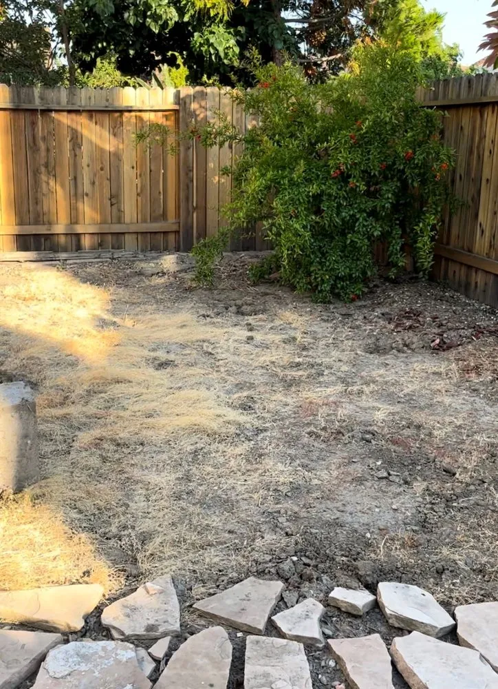 Top-rated residential landscaping experts serving Vacaville, CA - A-2-Z Landscaping