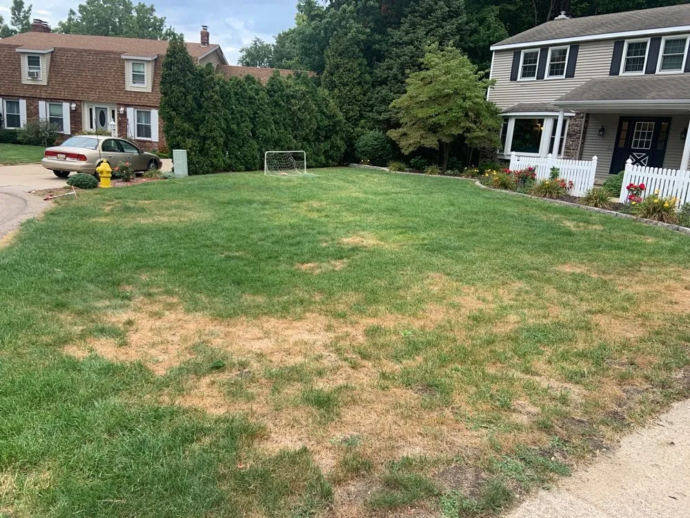 Custom outdoor landscaping in Grand Rapids, MI - A A A Lawn Care