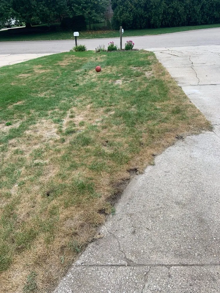 Affordable yard cleanup service in Grand Rapids, MI by A A A Lawn Care