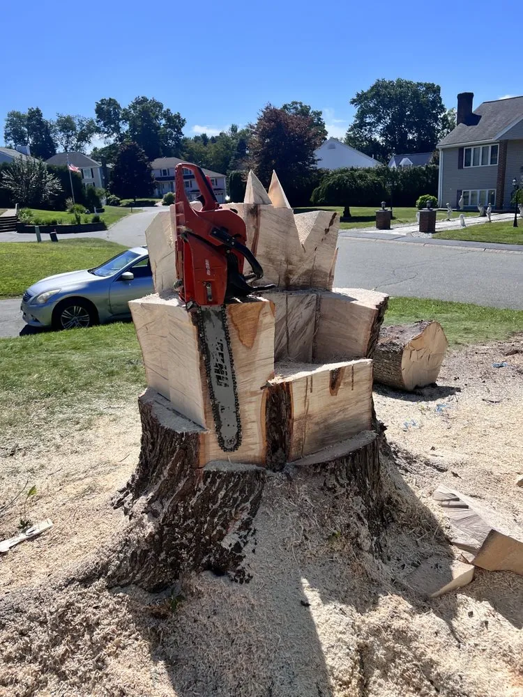 Expert landscape installation for outdoor upgrades across Derry, NH - A A J J Landscaping and Tree Services