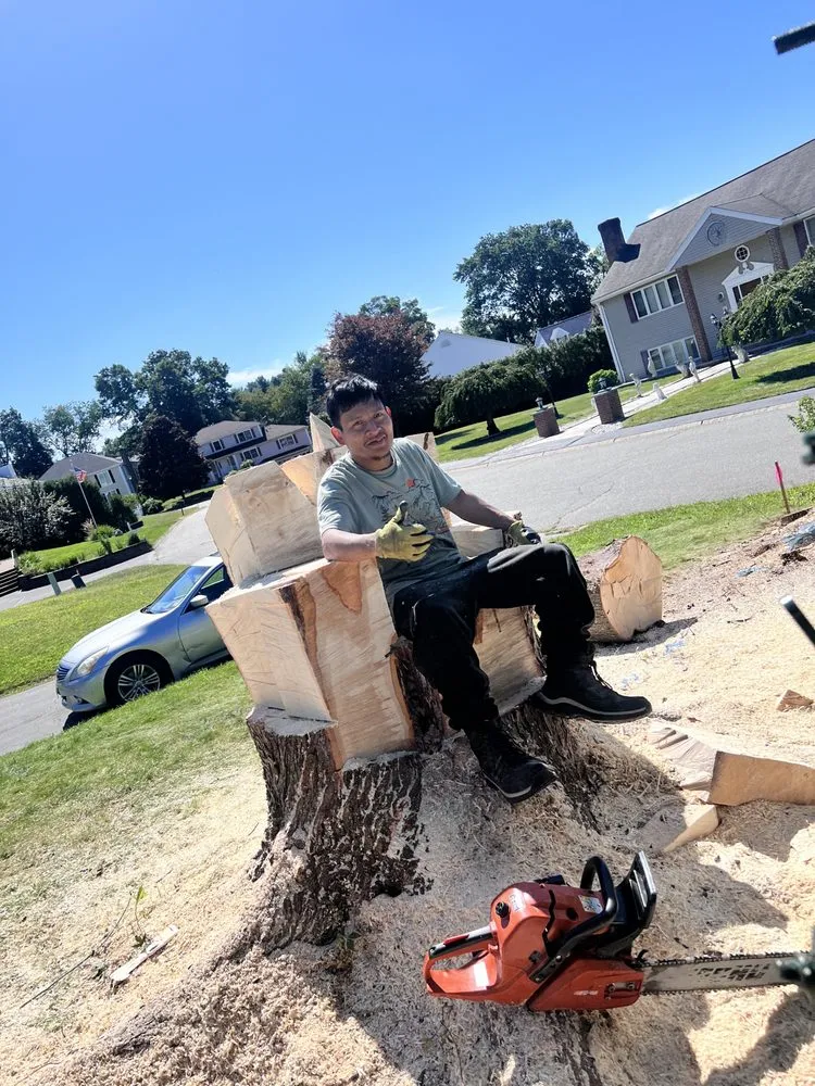 Custom yard cleanup service for year-round maintenance in Derry, NH by A A J J Landscaping and Tree Services