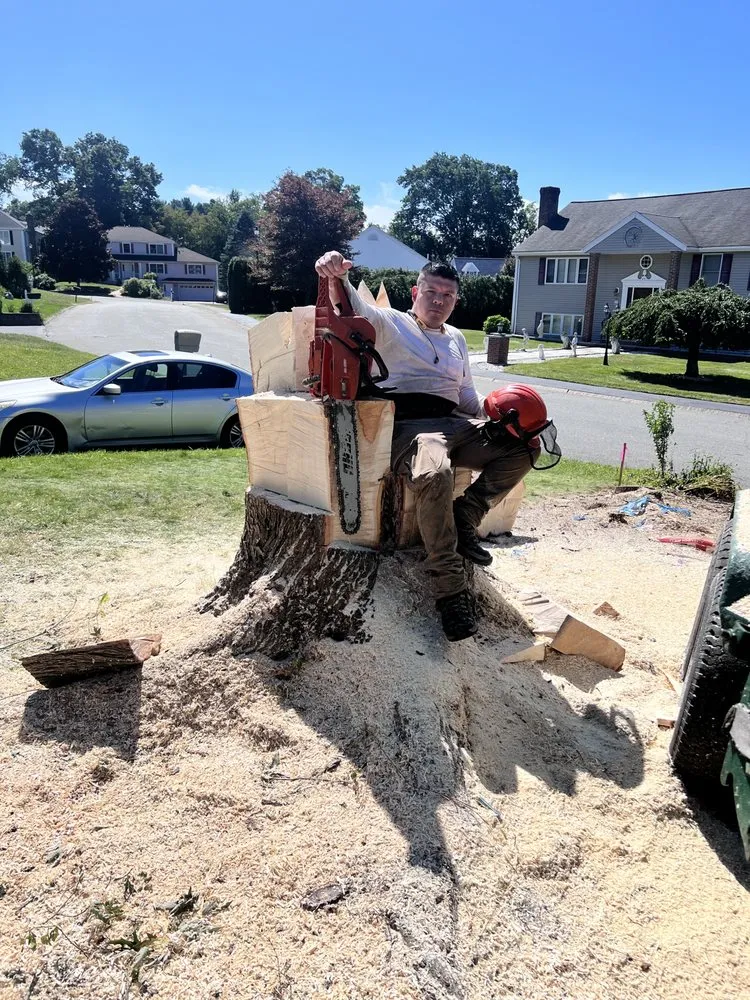 Reliable landscape installation in Derry, NH - A A J J Landscaping and Tree Services