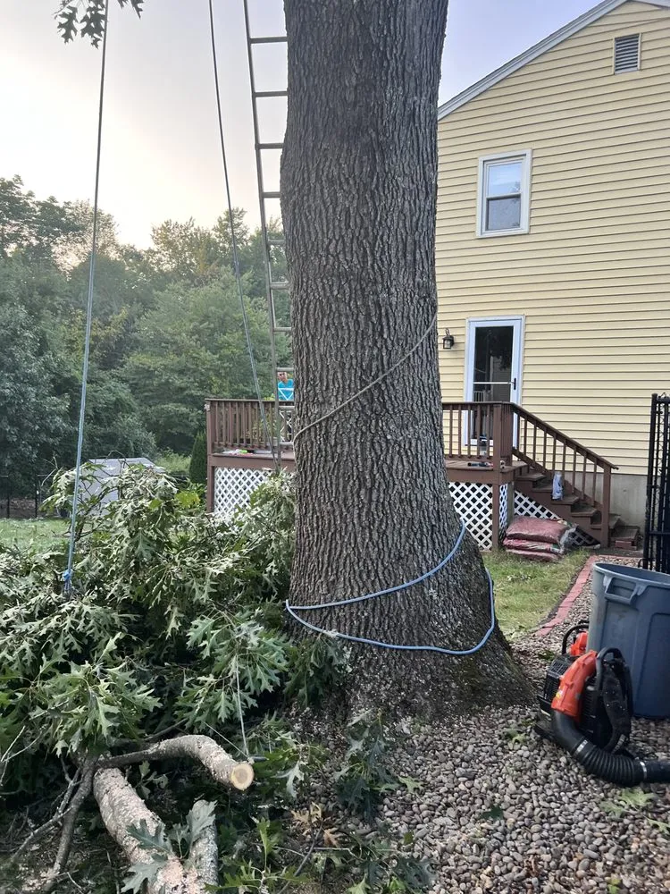 Affordable lawn care service for year-round maintenance across Derry, NH - A A J J Landscaping and Tree Services