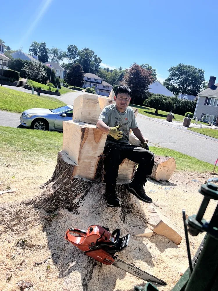 Affordable garden landscaping for residential properties across Derry, NH - A A J J Landscaping and Tree Services