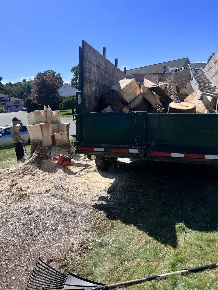 Local yard cleanup service for year-round maintenance across Derry, NH - A A J J Landscaping and Tree Services