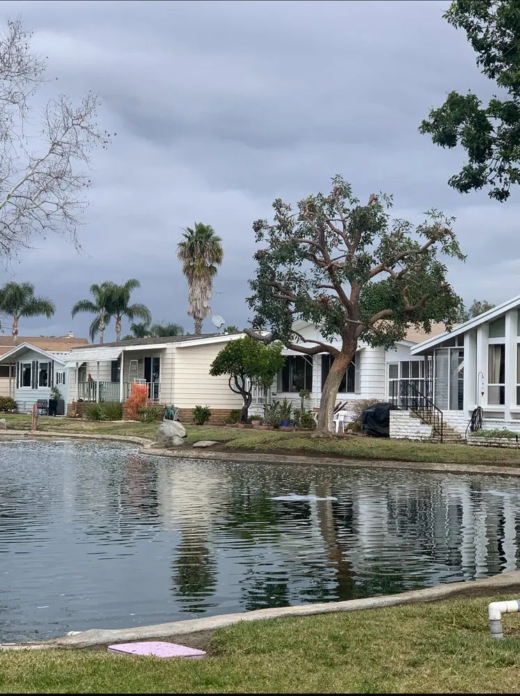 Expert outdoor landscaping in San Marcos, CA - A A Landscaping