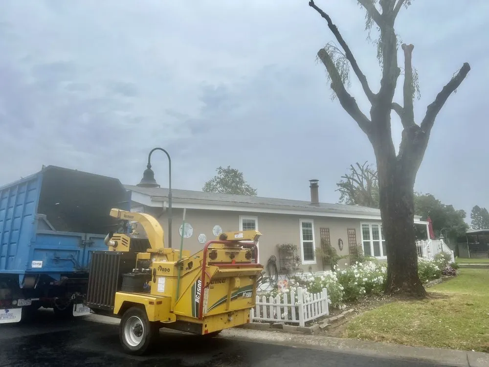 Top-rated residential landscaping for year-round maintenance across San Marcos, CA - A A Landscaping