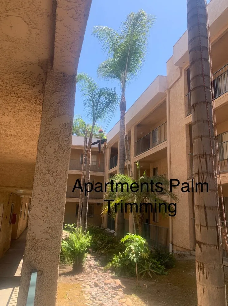 Professional landscaping services in San Marcos, CA by A A Landscaping