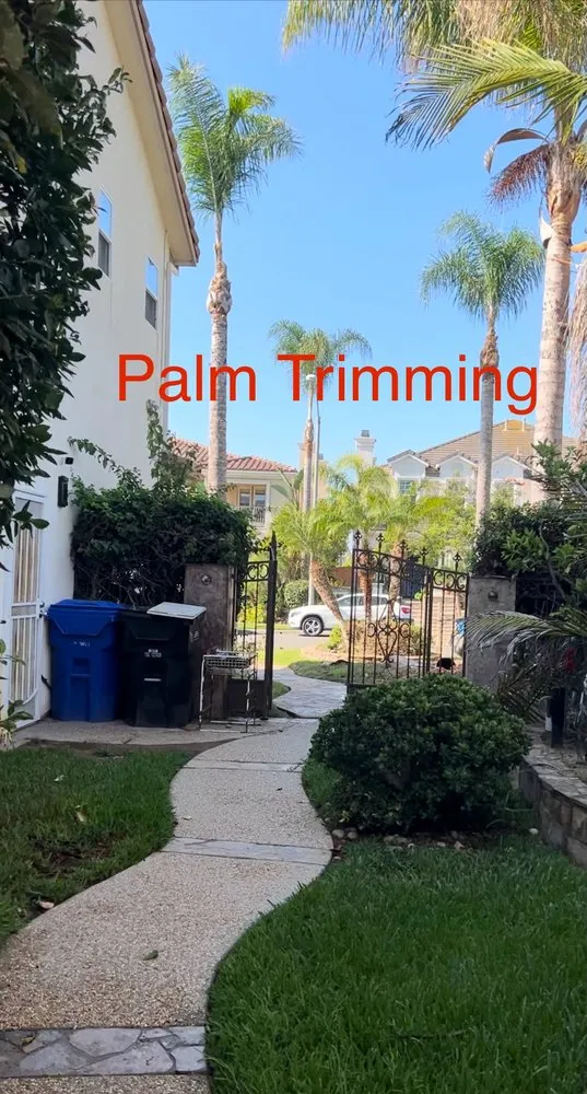 Professional landscape installation in San Marcos, CA by A A Landscaping