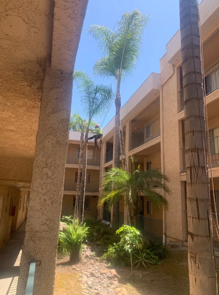 Custom garden landscaping for residential properties across San Marcos, CA - A A Landscaping