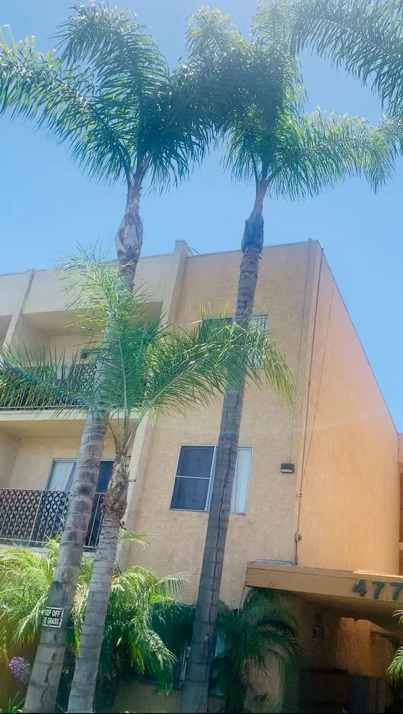 Local lawn care service experts serving San Marcos, CA - A A Landscaping