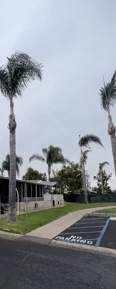 Professional lawn care service in San Marcos, CA - A A Landscaping