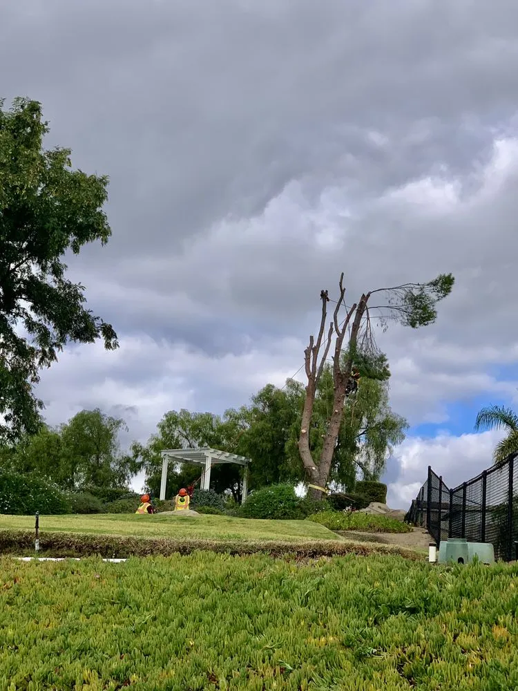 Trusted yard maintenance with custom design across San Marcos, CA - A A Landscaping