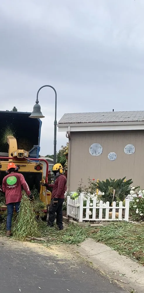 Local residential landscaping experts serving San Marcos, CA - A A Landscaping