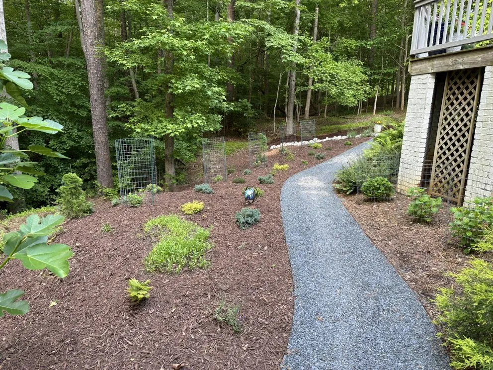 Local yard cleanup service with custom design in Raleigh, NC by A. A. Oxendine Landscaping