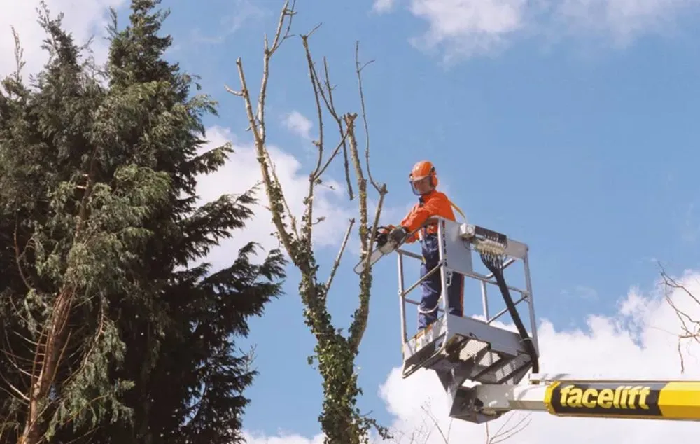 Top-rated outdoor landscaping in Inverness, FL - A Ace Tree Service & Landscaping