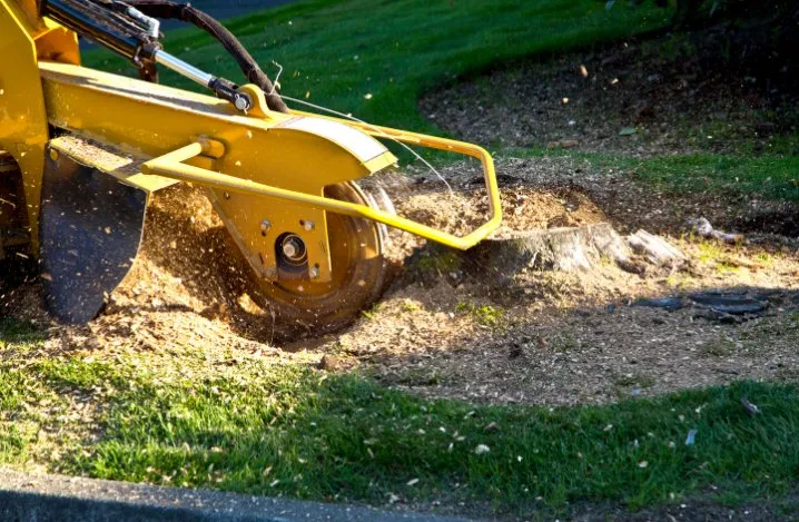 Reliable lawn care service experts serving Inverness, FL - A Ace Tree Service & Landscaping