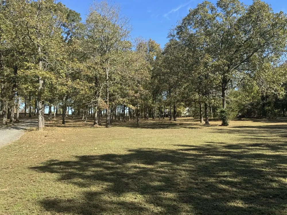 Expert yard cleanup service with custom design in Drasco, AR by A-Affordable Lawn Care