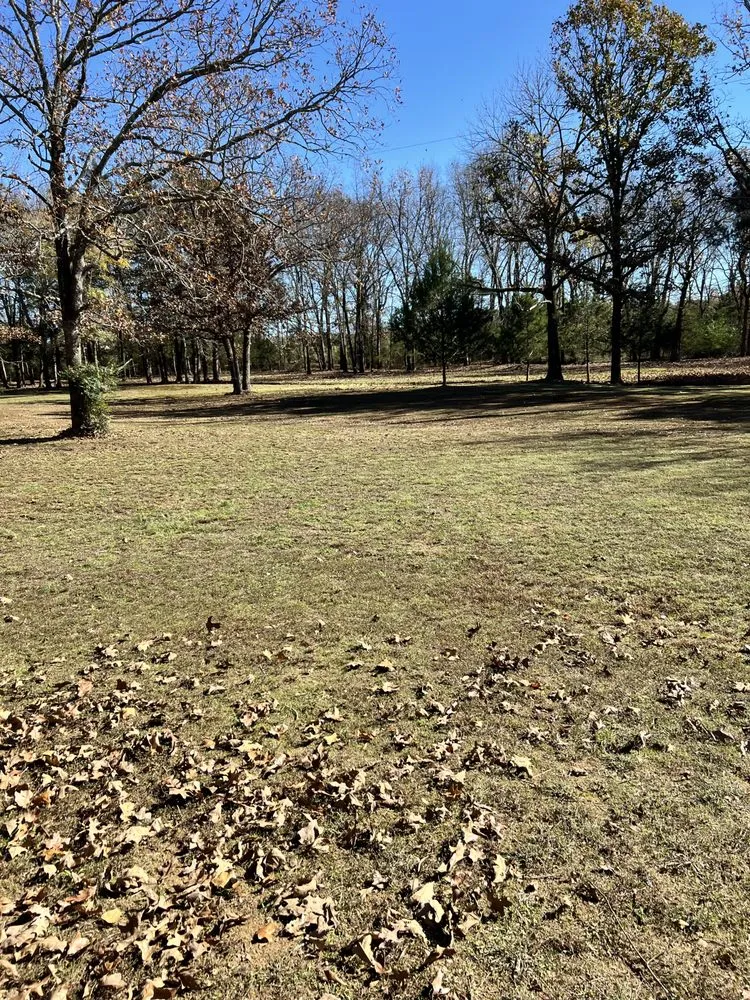 Expert landscaping services experts serving Drasco, AR - A-Affordable Lawn Care