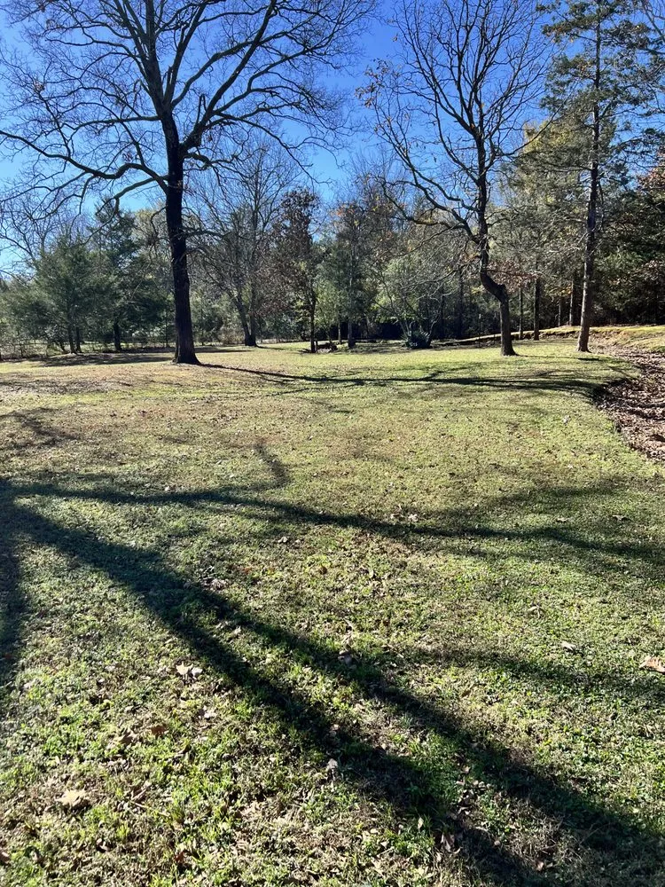 Top-rated lawn mowing service for year-round maintenance in Drasco, AR by A-Affordable Lawn Care