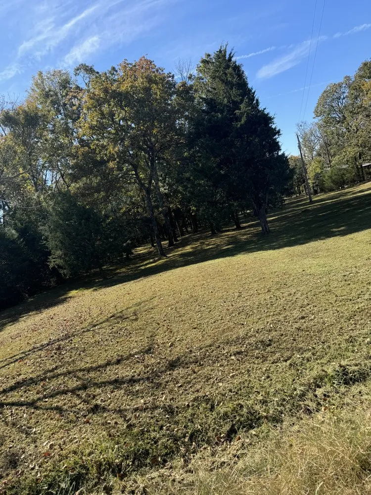 Top-rated garden landscaping in Drasco, AR by A-Affordable Lawn Care