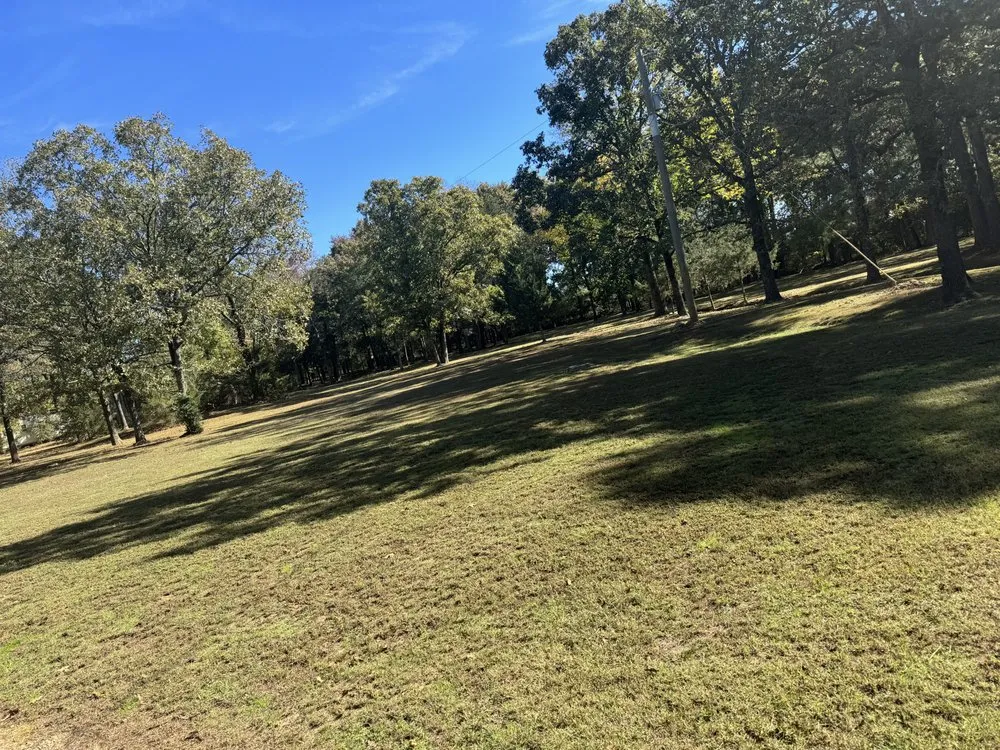 Expert landscaping services experts serving Drasco, AR - A-Affordable Lawn Care