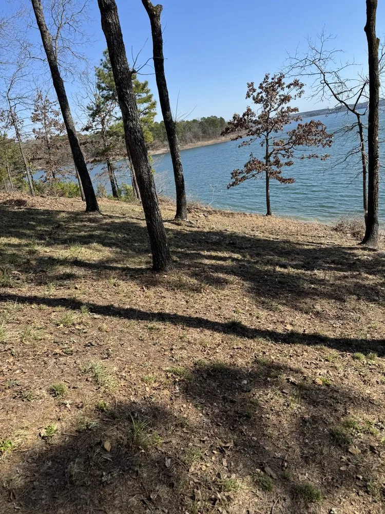 Trusted landscape installation in Drasco, AR by A-Affordable Lawn Care