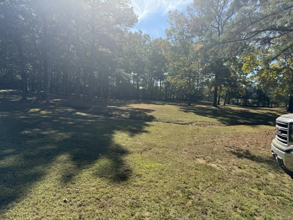 Reliable yard cleanup service with custom design in Drasco, AR by A-Affordable Lawn Care