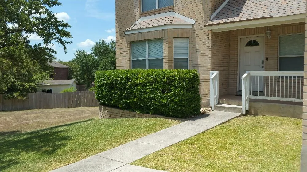 Local lawn care service in San Antonio, TX - A+ Affordable lawn service