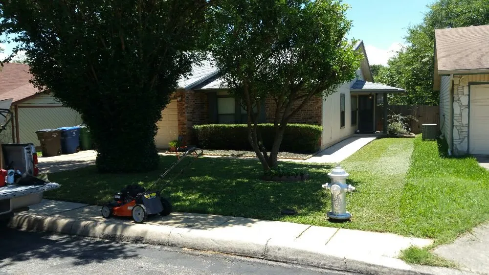 Trusted yard cleanup service in San Antonio, TX by A+ Affordable lawn service
