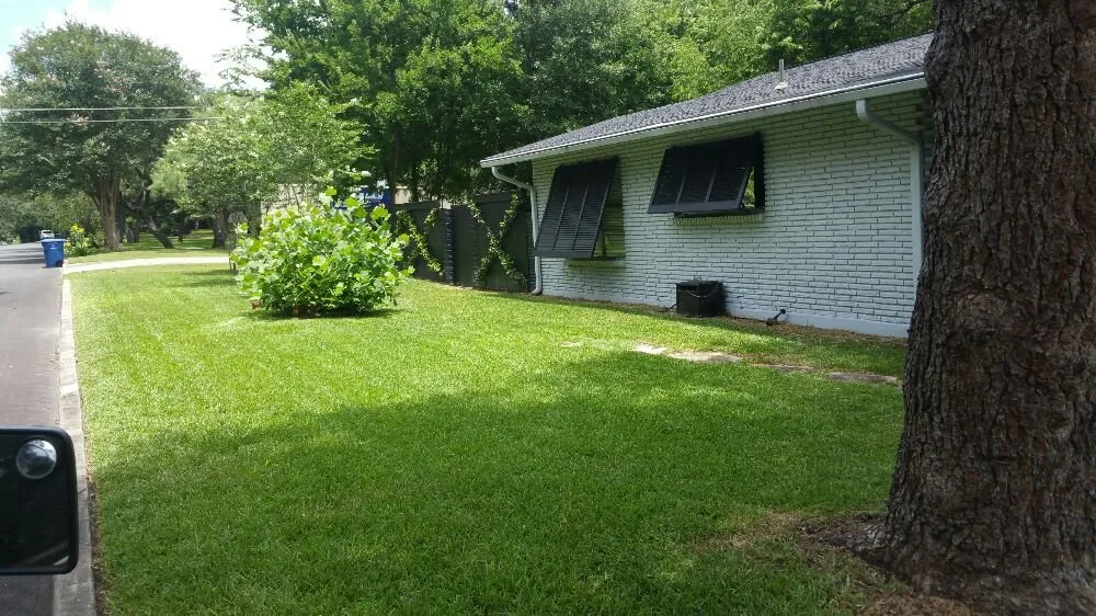 Expert yard maintenance for homes in San Antonio, TX by A+ Affordable lawn service