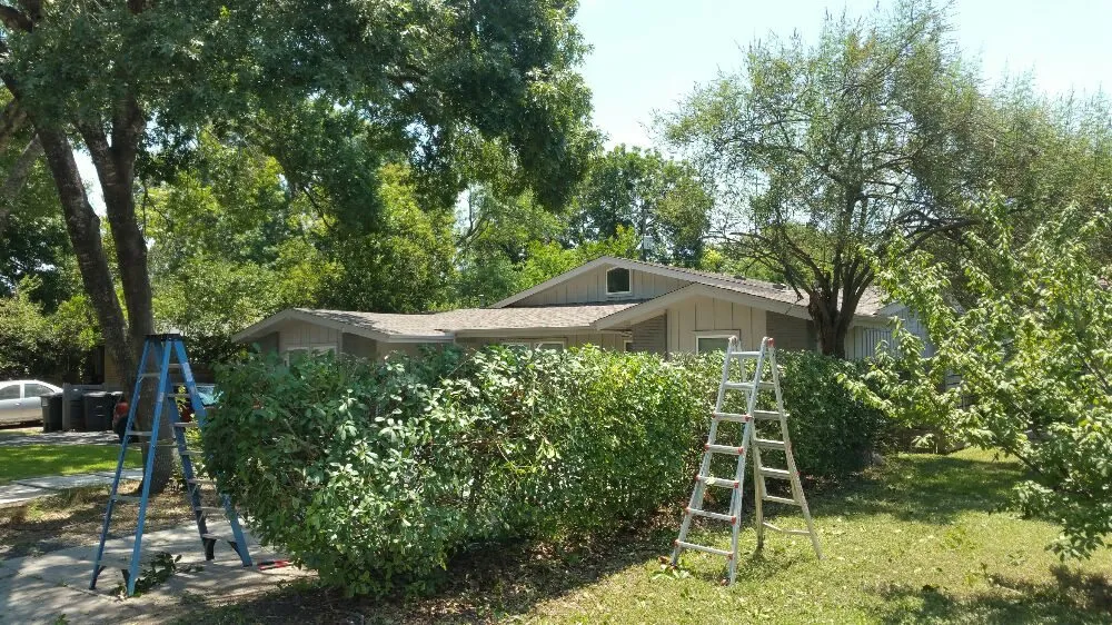 Reliable garden landscaping experts serving San Antonio, TX - A+ Affordable lawn service
