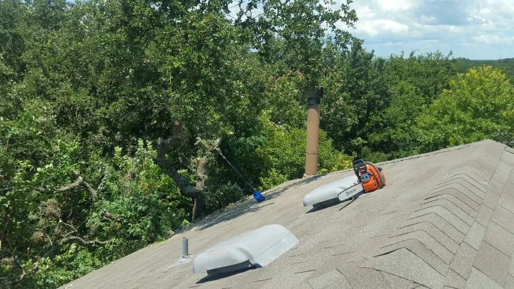 Reliable yard cleanup service for outdoor upgrades across San Antonio, TX - A+ Affordable lawn service