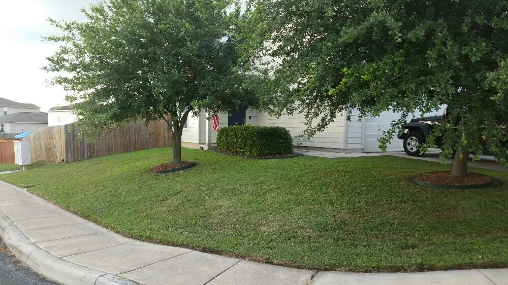 Trusted residential landscaping for year-round maintenance in San Antonio, TX by A+ Affordable lawn service