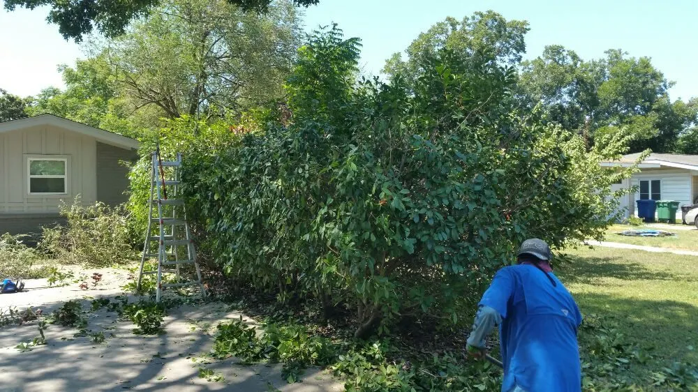 Custom landscaping services in San Antonio, TX - A+ Affordable lawn service