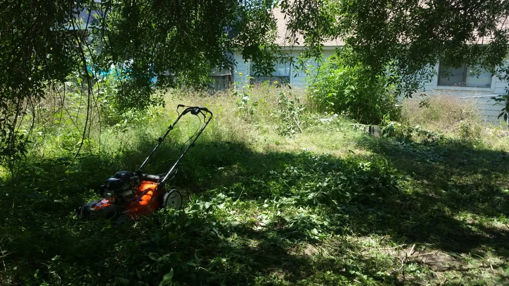 Professional outdoor landscaping experts serving San Antonio, TX - A+ Affordable lawn service