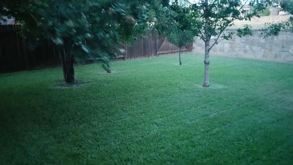 Expert landscaping services experts serving San Antonio, TX - A+ Affordable lawn service