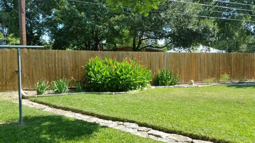 Trusted lawn mowing service for outdoor upgrades in San Antonio, TX by A+ Affordable lawn service