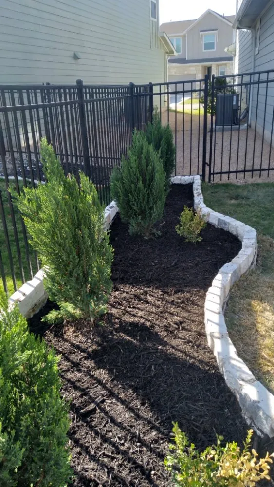 Expert yard cleanup service in Liberty Hill, TX by A-Allen Tree and Landscaping Services