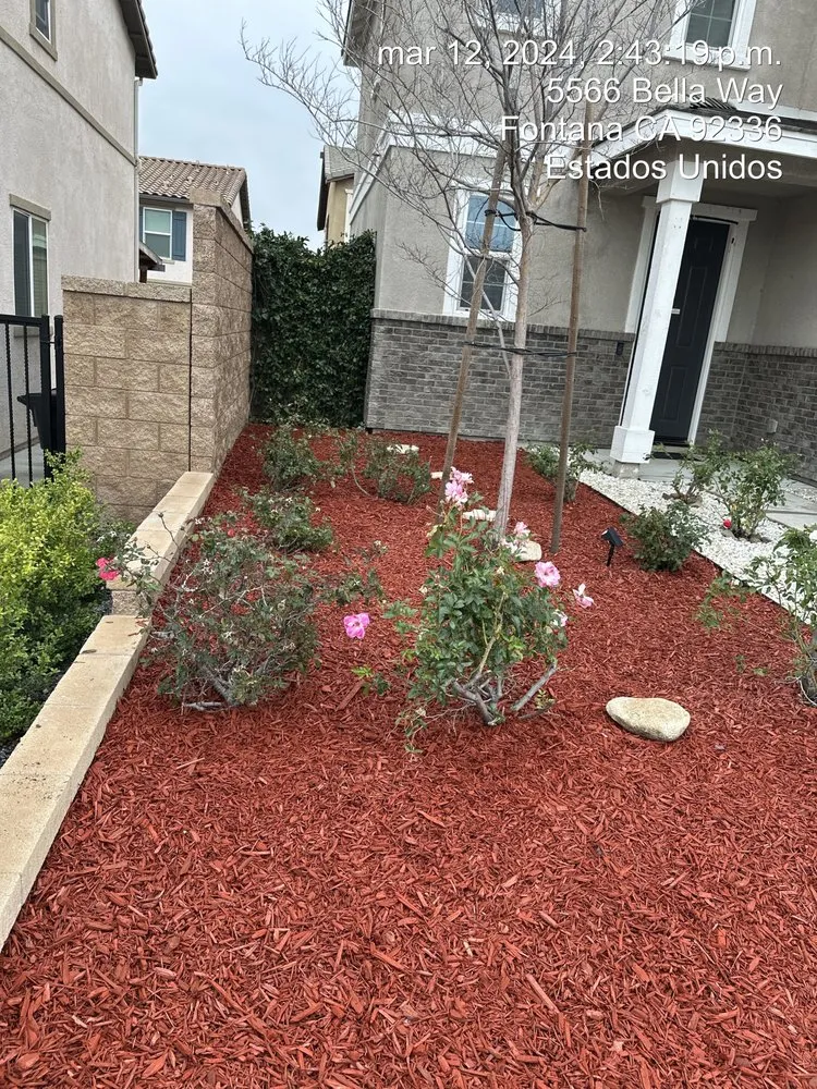 Trusted yard maintenance with custom design across Fontana, CA - A. Amezcua Landscaping
