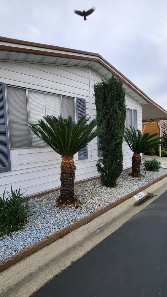 Expert landscape installation in Fontana, CA by A. Amezcua Landscaping