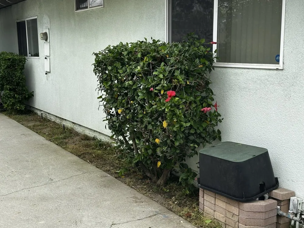 Custom lawn mowing service experts serving Fontana, CA - A. Amezcua Landscaping