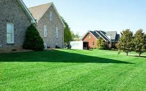 Affordable yard cleanup service in Midland, MI by A and B lawncare