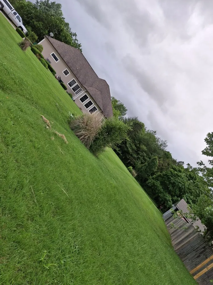 Professional yard cleanup service in Adrian, MO - A And D Lawn Care