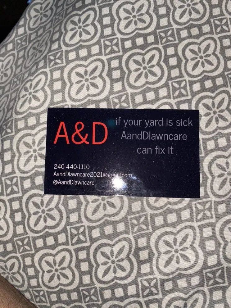 Affordable yard cleanup service in Marlow Heights, MD - A and D Lawn Care