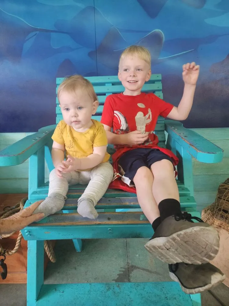 Professional yard maintenance experts serving Marion, OH - A And G Property Maintenance