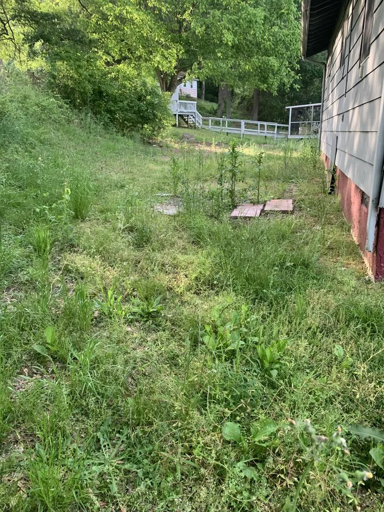 Trusted lawn mowing service in Buffalo, SC by A and J Handyman Service